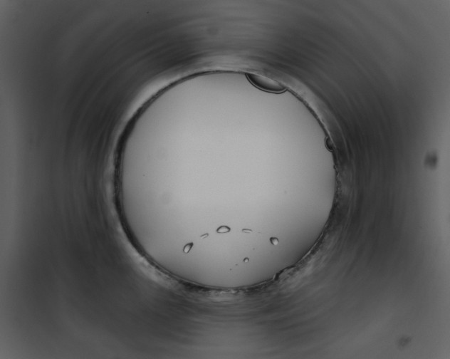 X0000100781147200807171436