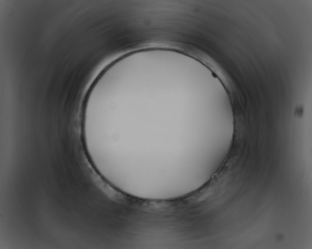 X0000100781148200807171436