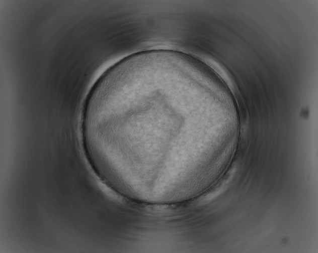 X0000100781149200807171436