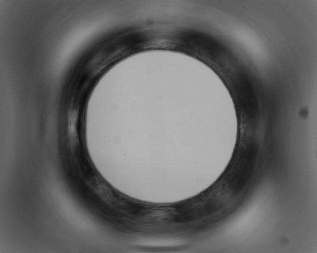 X0000100781150200807171436