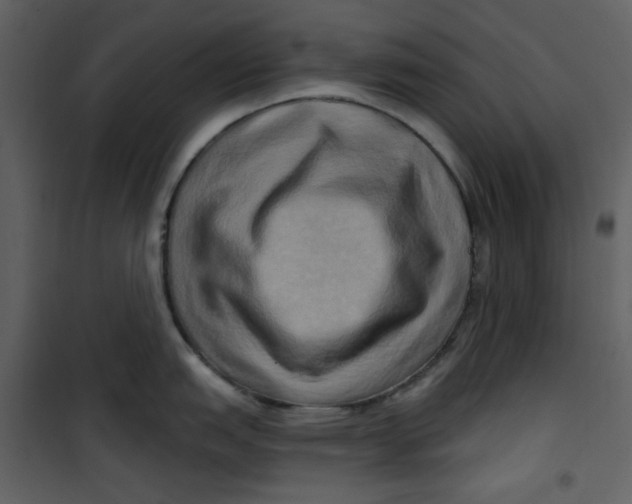X0000100781151200807171436