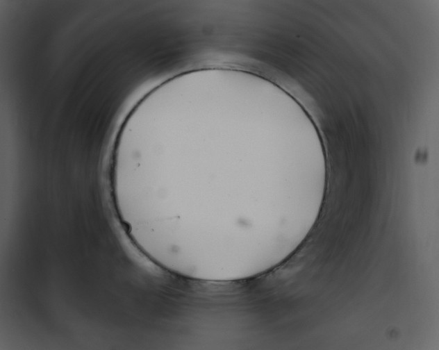 X0000100781152200807171436