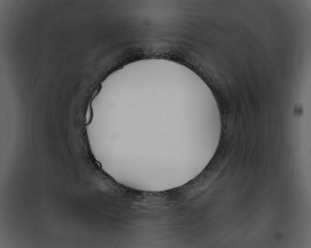 X0000100781153200807171436