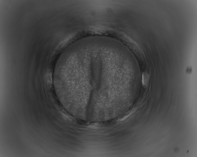 X0000100781155200807171436
