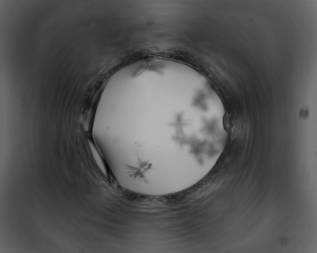 X0000100781156200807171436