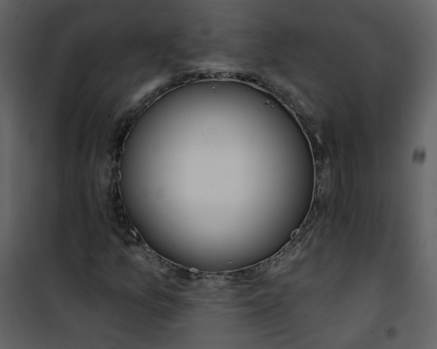 X0000100781157200807171436