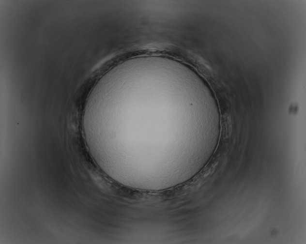 X0000100781158200807171436
