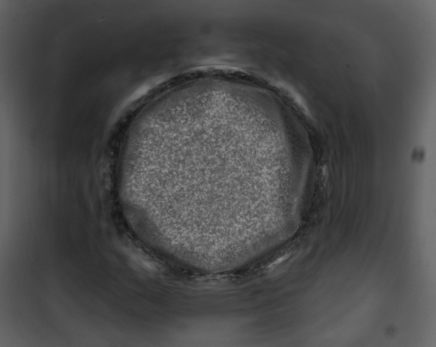X0000100781159200807171436