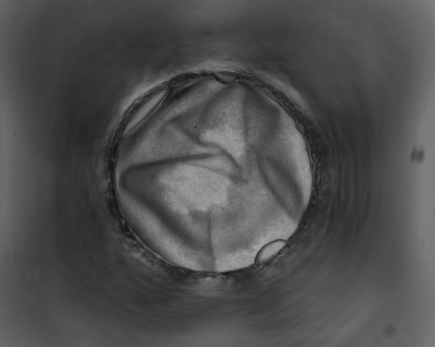 X0000100781160200807171436