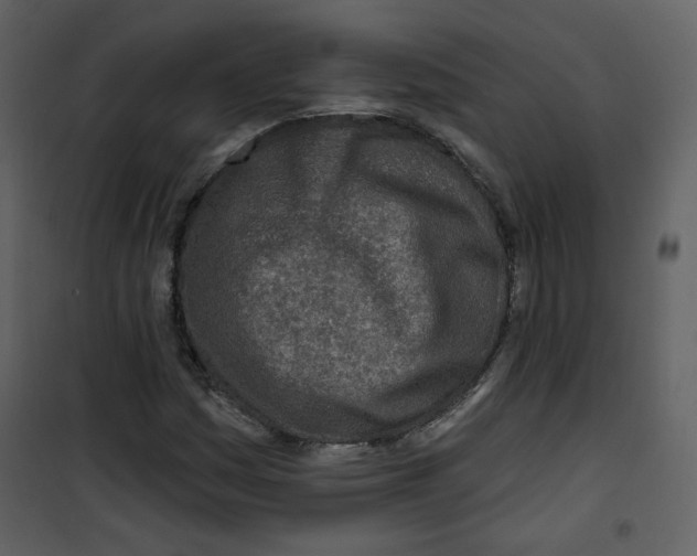 X0000100781161200807171436