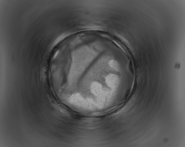 X0000100781163200807171436