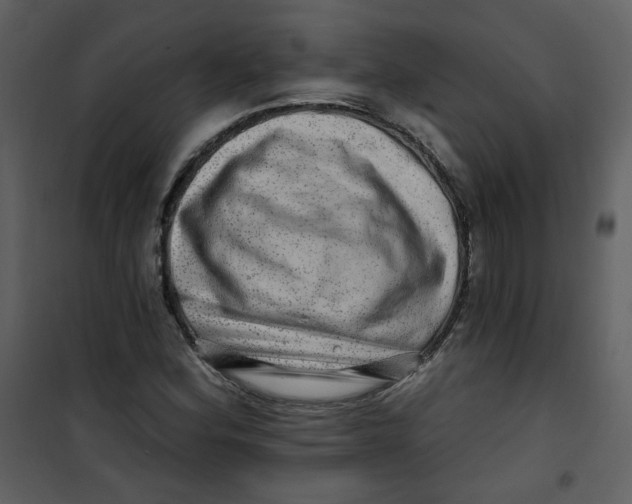 X0000100781164200807171435