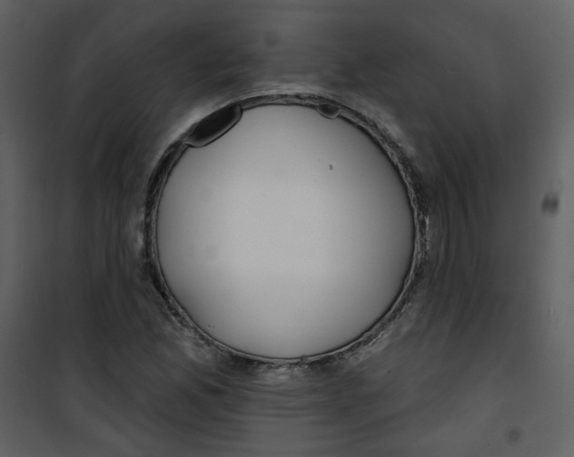 X0000100781165200807171435