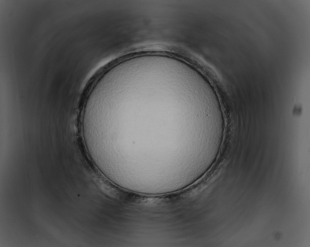 X0000100781166200807171435