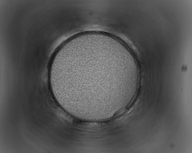 X0000100781167200807171435