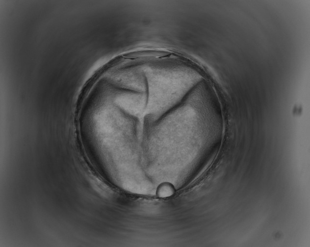 X0000100781168200807171435