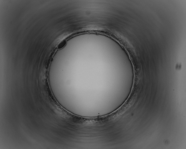 X0000100781169200807171435