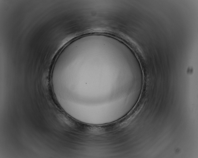 X0000100781170200807171435