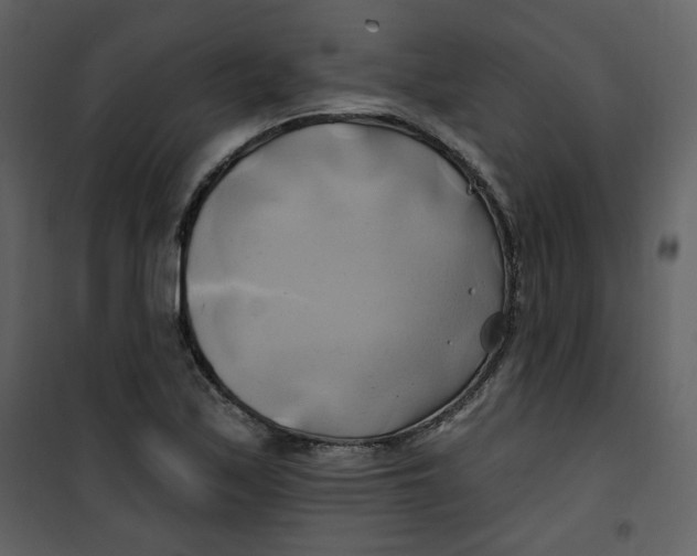 X0000100781171200807171435