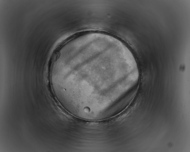 X0000100781172200807171435