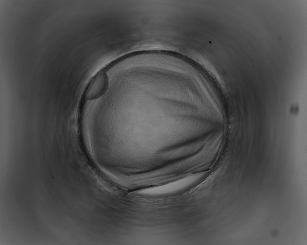 X0000100781173200807171435
