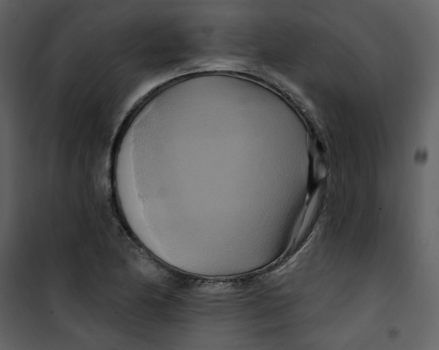 X0000100781174200807171435