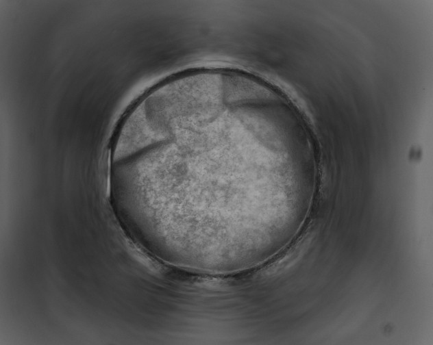 X0000100781175200807171435
