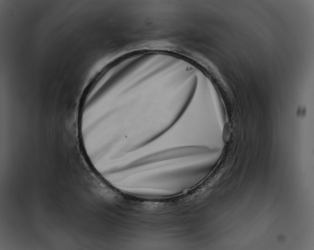 X0000100781176200807171435