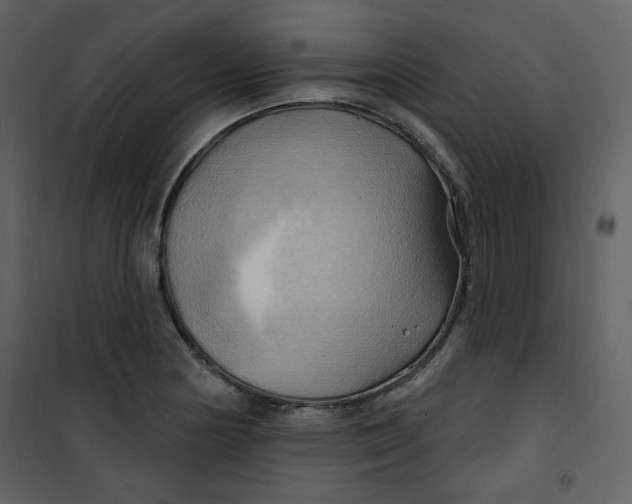 X0000100781178200807171435