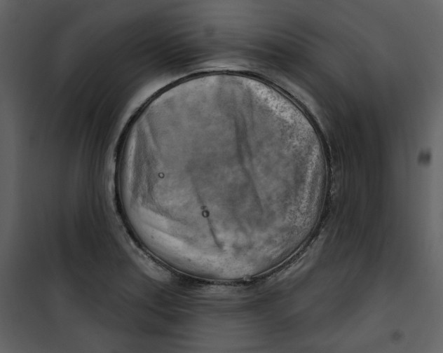 X0000100781179200807171435