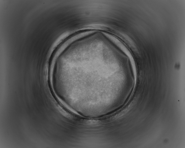 X0000100781180200807171435