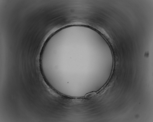 X0000100781181200807171435