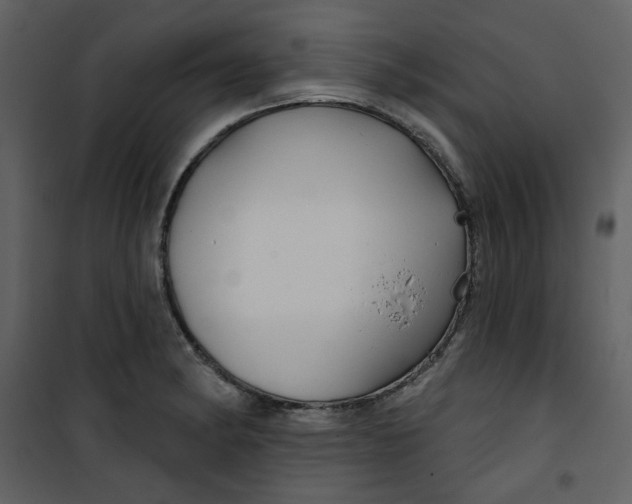 X0000100781182200807171435