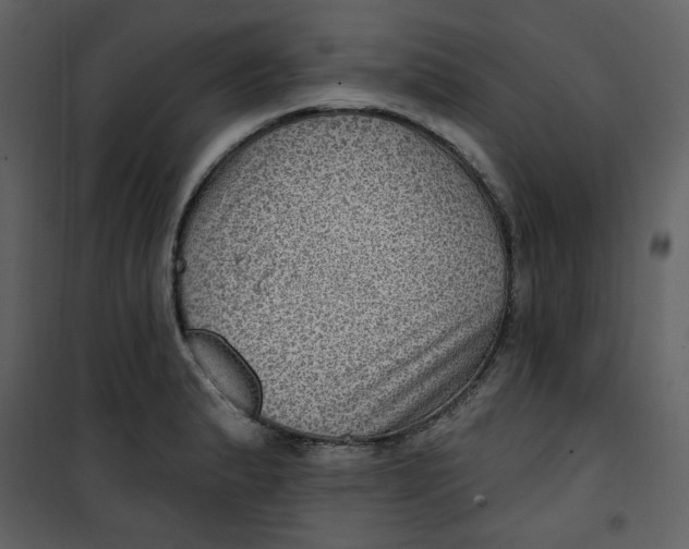 X0000100781183200807171435