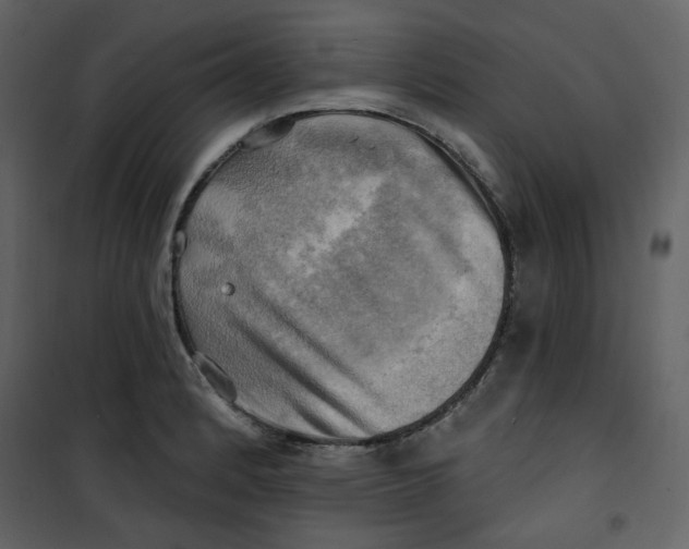 X0000100781184200807171435