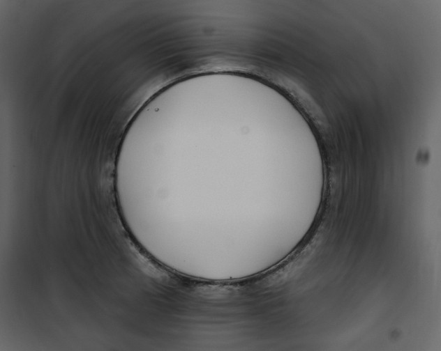 X0000100781185200807171435