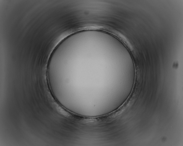 X0000100781186200807171435
