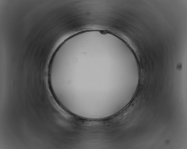 X0000100781187200807171435