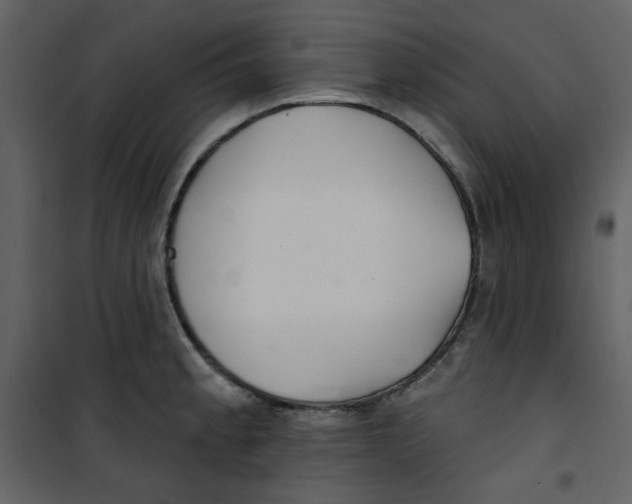 X0000100781189200807171435
