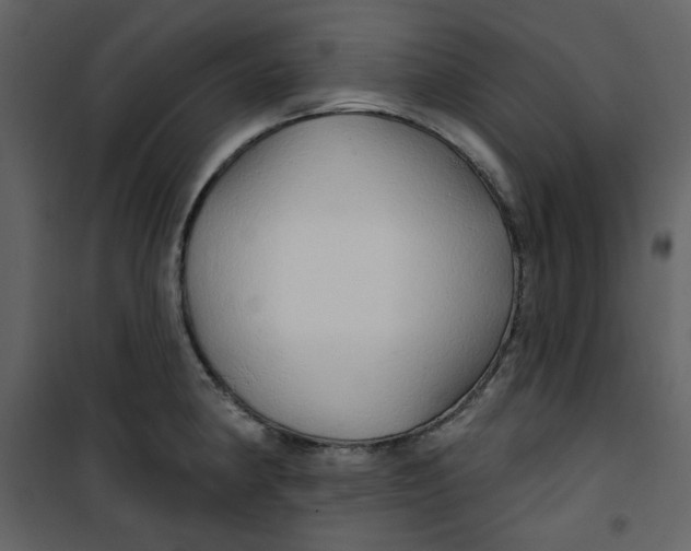 X0000100781190200807171435
