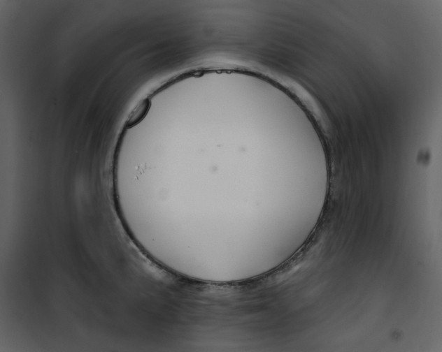 X0000100781191200807171435