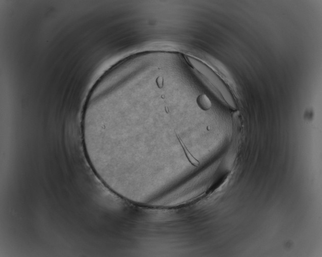 X0000100781192200807171435