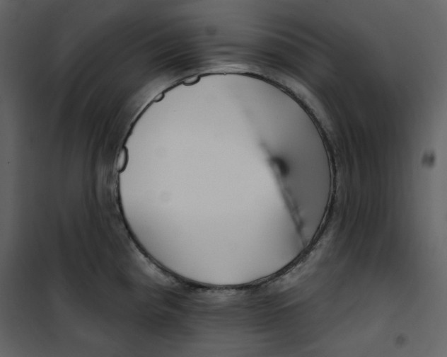 X0000100781193200807171435