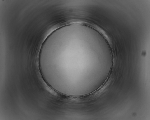 X0000100781194200807171435
