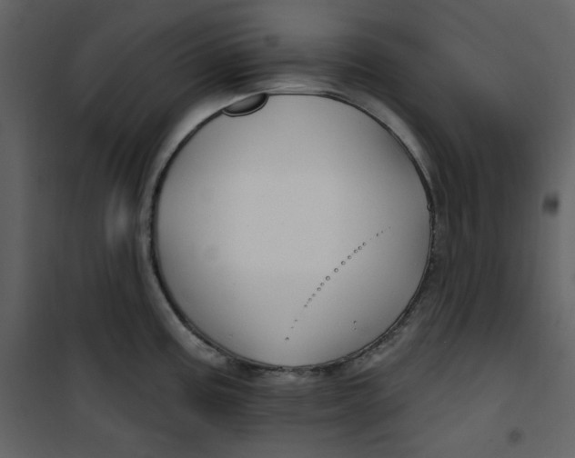 X0000100781195200807171435