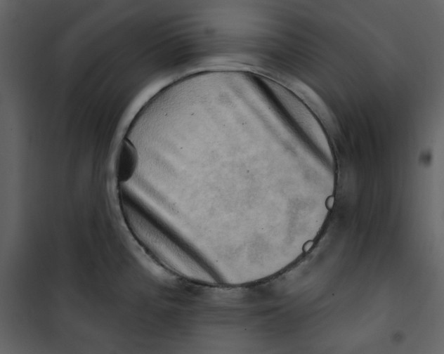 X0000100781196200807171435