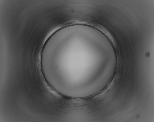 X0000100781198200807171435