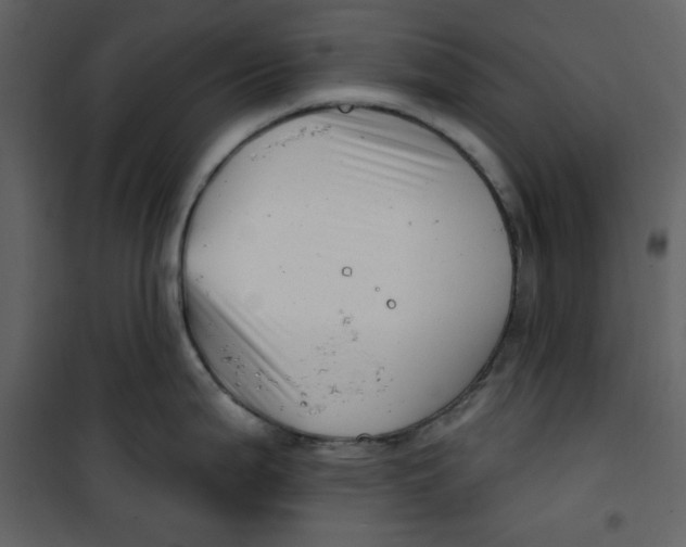 X0000100781199200807171435
