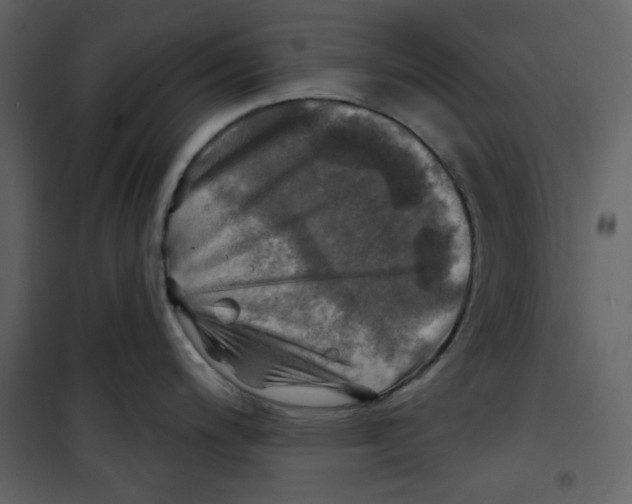 X0000100781200200807171435