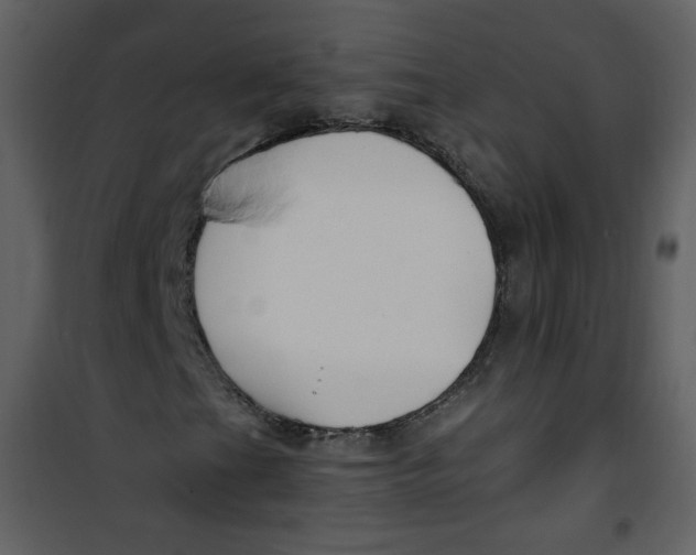 X0000100781201200807171434